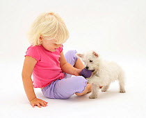 Portrait of young blonde haired girl  playing with West Highland White Terrier puppy. Model released