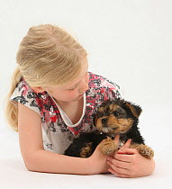 Portrait of young blonde haired girl and Yorkshire Terrier puppy, aged 7 weeks old Model released