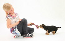 Young blonde haired girl playing with a Yorkshire Terrier puppy, aged 7 weeks old. Model released