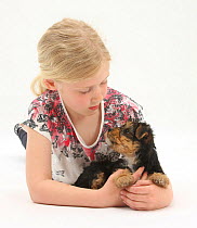 Portrait of young girl with blonde hair, with a Yorkshire terrier puppy, aged 7 weeks. Model released