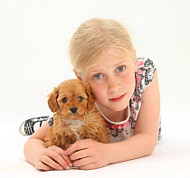 Portrait of a young girl with blonde hair, with a Cockerpoo (Cocker spaniel x Poodle) puppy, aged 7 weeks. Model released