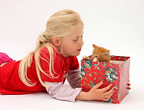 Portrait of young girl with blonde hair, aged 7, with a ginger kitten, aged 7 weeks peering out from within a box. Model released