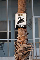 Speed warning sign for motor boat users about danger to Florida manatees (Trichechus manatus latirostris) Crystal River, Florida, USA.  February 2010