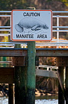 A Caution Florida manatees (Trichechus manatus latirostris) Area Sign. Crystal River, Florida. USA February 2010