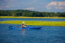 Woman kayaking near the mouth of the Connecticut River, Griswold Point Preserve, Old Lyme, Long Island Sound, Connecticut, USA, August 2006