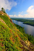 Echo Lake as seen from Beech Cliff, Acadia National Park, Maine, USA, August 2009