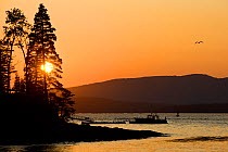 Sunset viewed from the harbour on Great Cranberry Island, near Acadia National Park, Maine, USA, August 2009