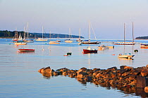 Boats moored in Southwest Harbour, Mount Desert Island, near Acadia NP, Maine, USA, August 2009