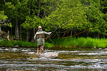 Man fly fishing on the Connecticut River in Pittsburg, New Hampshire, USA, just below the dam at First Connecticut Lake, July 2007