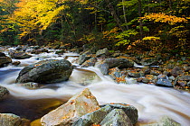 Roaring Brook (a tributary of Batten Kill river) in the Green Mountain National Forest, Sunderland, Vermont, USA, October 2009
