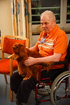 Elderly man in a wheelchair stroking a Cavalier King Charles Spaniel in an Old People's Home, ruby colour, Germany