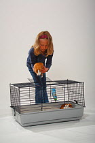 Girl placing Guinea Pig in its cage