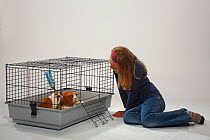 Girl watching two Guinea Pigs in open cage