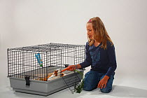 Girl feeding carrot to Guinea Pig in cage