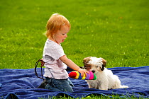 Little girl playing with Mixed Breed Dog, puppy