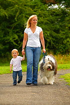 Woman walking along path with her daughter and Bobtail / Old English Sheepdog on lead