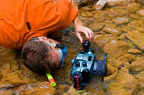 Photographer Inaki Relanzon wearing snorkel and mask while photographing Pyrenean brook salamander (Euproctus asper) in stream, Pyrenees mountains, Catalonia, Spain.