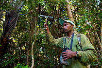 Researcher radio tracking White collared / Grey-headed lemur (Eulemur cinereiceps) Manombo Forest Special Reserve, South east Madagascar, near Farafangana. Endangered species