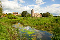 Yarkhill Moat; a Great Crested Newt (Triturus cristatus) breeding site, with the Yarkhill Court and the church in the background, Herefordshire, England, UK, May 2010
