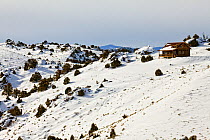 Ranch house in winter, Brush Creek Ranch, Saratoga, Wyoming, USA, February 2010