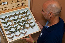 Moth collection held by the Entomology Department at the Charles Darwin Research Station,~Puerto Ayora, Santa Cruz Island, Galapagos