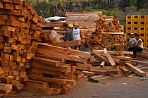 Unloading timber at the dock for export to mainland Ecuador, Puerto Ayora, Santa Cruz Island, Galapagos Islands, May 2008