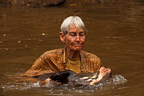 Diane McTurk swimming with a Giant otter (Pteronura brasiliensis) habituated, Karanambu Otter Trust for re-introduction, Rupununi, Guyana, Endangered species, August 2009