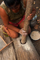 Macushi woman grinding cassava, Yupukari village, savannah, Rupununi, Guyana, August 2009