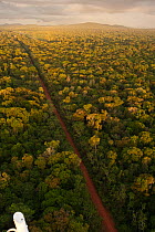 Aerial view of road running through rainforest, Iwokrama Reserve, Guyana, December 2009