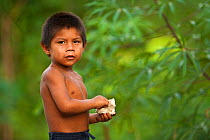 Macushi boy from Fairview Amerindian village, Iwokrama Reserve, Guyana, July 2009