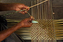 Macushi woman weaving split cane at the Fairview Amerindian village, Iwokrama Reserve, Guyana, July 2009