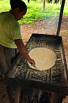 Amerindian woman making Cassava bread, Apoteri,  Rupununi, Guyana, February 2010