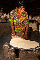 Amerindian woman, Winifred Brown, model released, making Cassava bread, Katoka, Rupununi, Guyana, February 2010