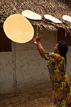 Amerindian woman, Winifred Brown, model released, making Cassava bread, throwing it onto roof to dry, Katoka, Rupununi, Guyana, February 2010
