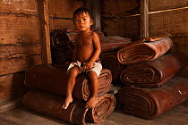 Boy sitting on rolls of Balata made from latex collected from Balata / Bullet Wood tree, Nappi, Rupununi, Guyana, used for crafts, February 2010