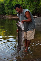 Man bring in a caught Haimara / Aymara (Hoplias aimara) Rewa River, Rainforest, Guyana, January 2010