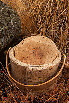 Cork lunchbox made from Cork oak (Quercus suber)San Vicente de Alcantera, Extremadura, Spain, June 2010