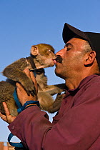 Man kissing pet Barbary ape (Macaca sulvanus) Morocco, June 2009