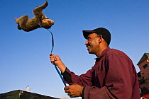 Man with performing pet Barbary ape (Macaca sulvanus) Morocco, June 2009