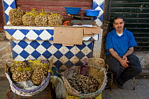 Snails for sale on market stall in the medina, Fes, Morocco, June 2009