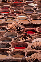 People working in the dyeing vats at the traditional leather tanneries, Fes, Morocco, June 2009