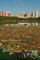 Rubbish floating in river, Rio de Janeiro, Brazil, July 2010