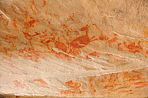 Prehistoric paintings on rock, thought to be 12,000 years old. Serra da Capivara National Park, municipality of Sao Raimundo Nonato, Piaua State, northeastern Brazil. July 2010
