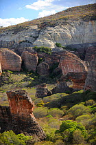 View of of sedimentary conglomerate rocks (on top of hills) and eroded sandstone (bottom) in Serra da Capivara National Park, municipality of Sao Raimundo Nonato, Piaua State, northeastern Brazil. J...