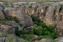 Aerial view of rock formations of eroded sandstone in Serra da Capivara National Park, municipality of Sao Raimundo Nonato, Piaua State, northeastern Brazil. July 2010