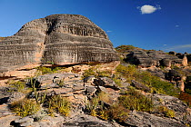 Bromeliads (Encholirium spectabile) and Xique-xiquecactus on sedimentary conglomerate rocks (on top of hills) and eroded sandstone (bottom) in Serra da Capivara National Park, municipality of Sao Raim...