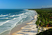 Pac de Serra Beach, north of Ilhaus town in the municipality of Urucuca, southeastern Bahia State. August