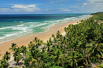 Itacarezinho Beach, in the municipality of Itacar, southeastern Bahia State. Brazil, August 2010
