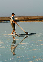 Man salt making, Rann of Kutch, Gujarat, India, February 2010