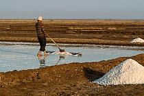 Man salt making, Rann of Kutch, Gujarat, India, February 2010